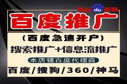 案例解读：网络推广与竞价策略